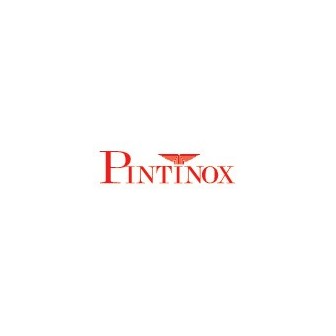 PINTINOX